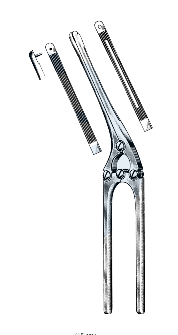 Payr Pylorus Clamp, 8" (21 cm)