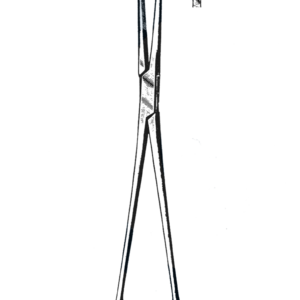 Allis Tissue Forceps, 5 x 6 Teeth, 10" (25 cm)