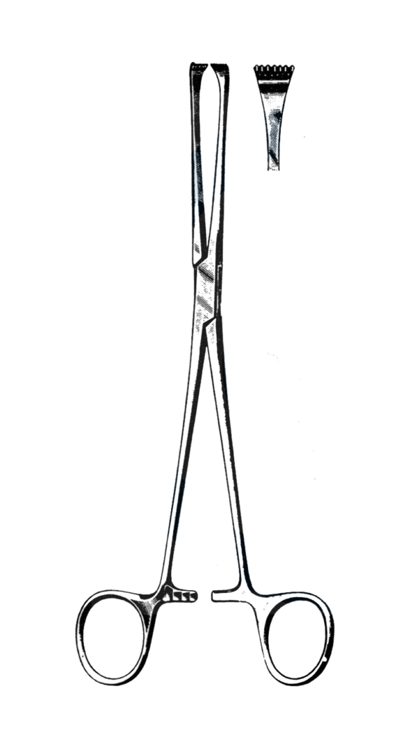 Allis Tissue Forceps, 5 x 6 Teeth, 10" (25 cm)