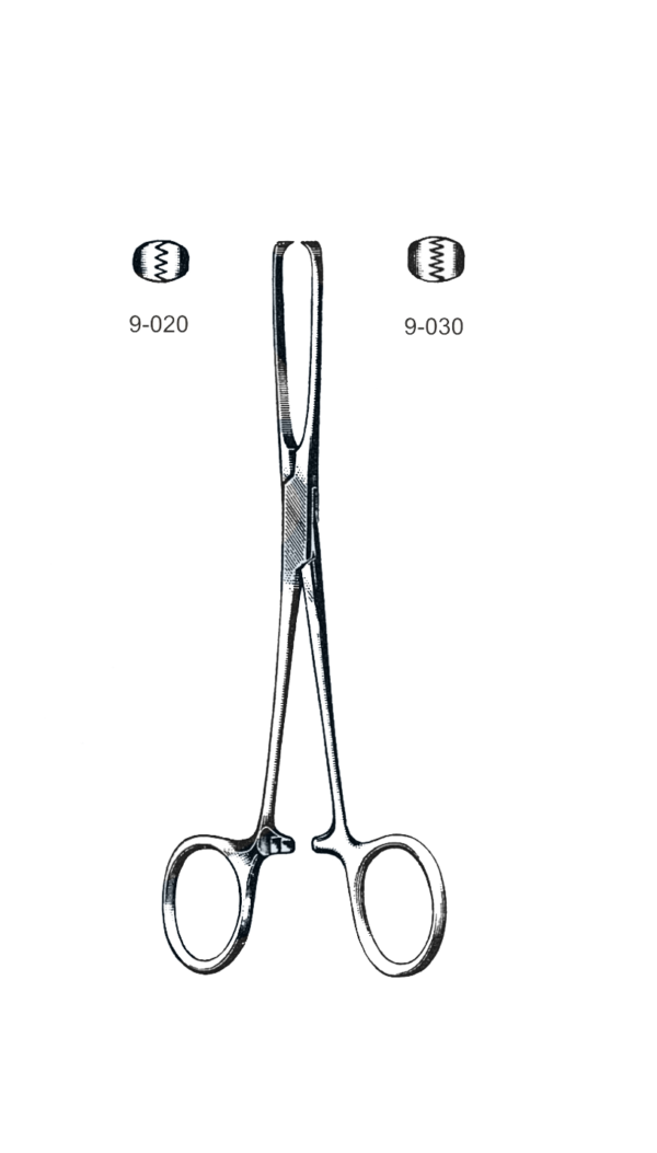 Allis Tissue Forceps, 5 x 6 Teeth 6" (15 cm)
