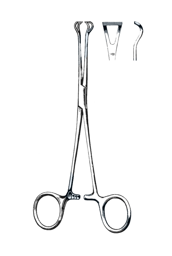 Babcook Tissue Forceps 7 3/4" (19.5 cm)