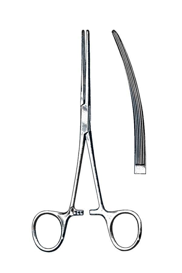 Bainbridge Forceps Curved 6 1/4" (16 cm)