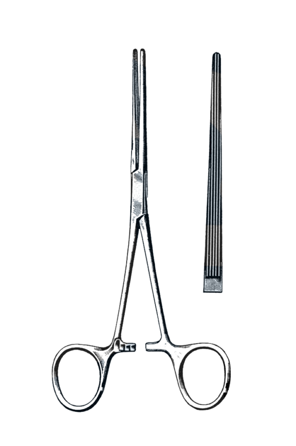 Bainbridge Forceps Straight 6 1/4" (16 cm)