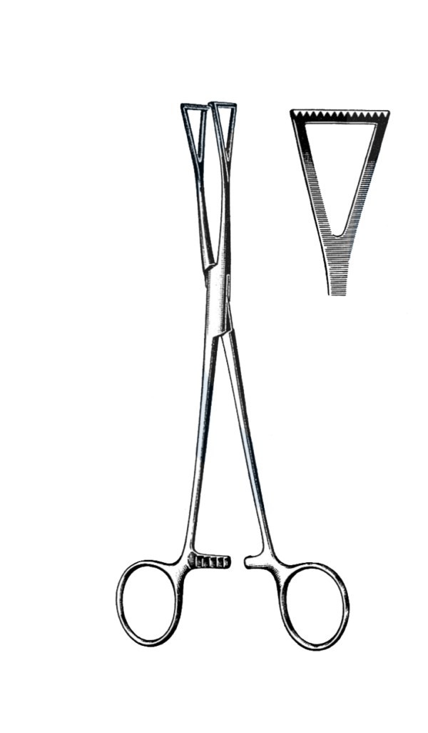 Duval Lung Grasping Forceps, 1/2" Jaw 8" (20 cm)