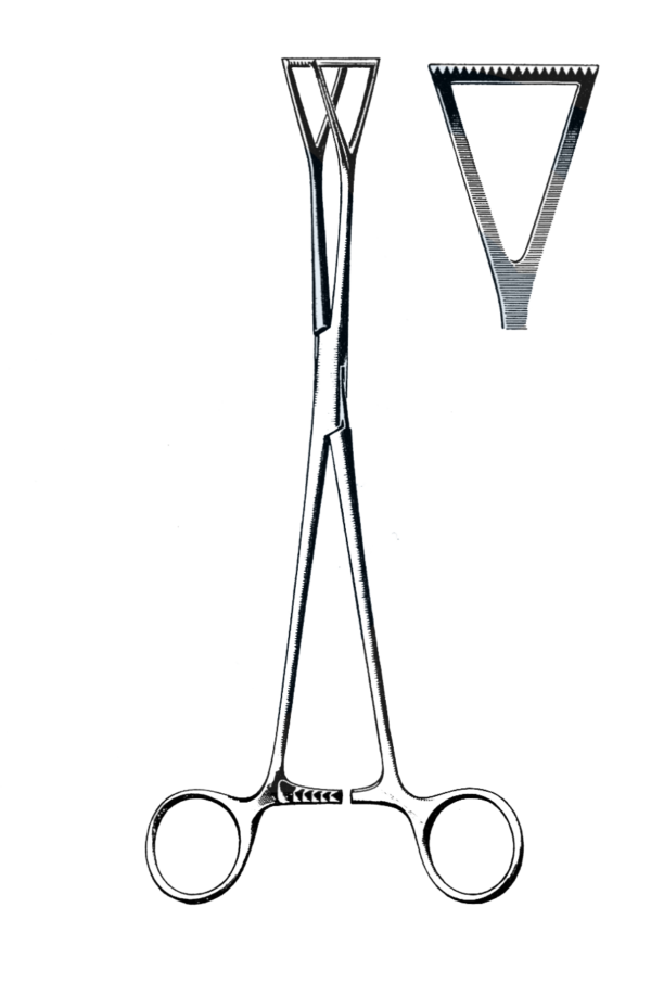 Duval Lung Grasping Forceps, 1" Jaw 8" (20 cm)