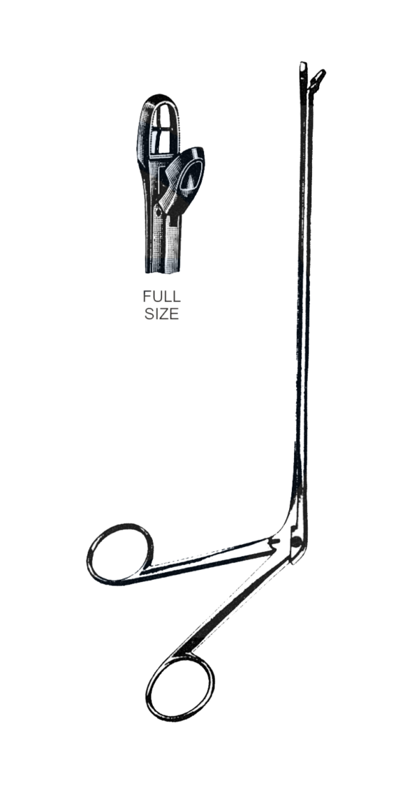 Eppemdorfer Biopsy Punch Forceps 9" (23 cm)