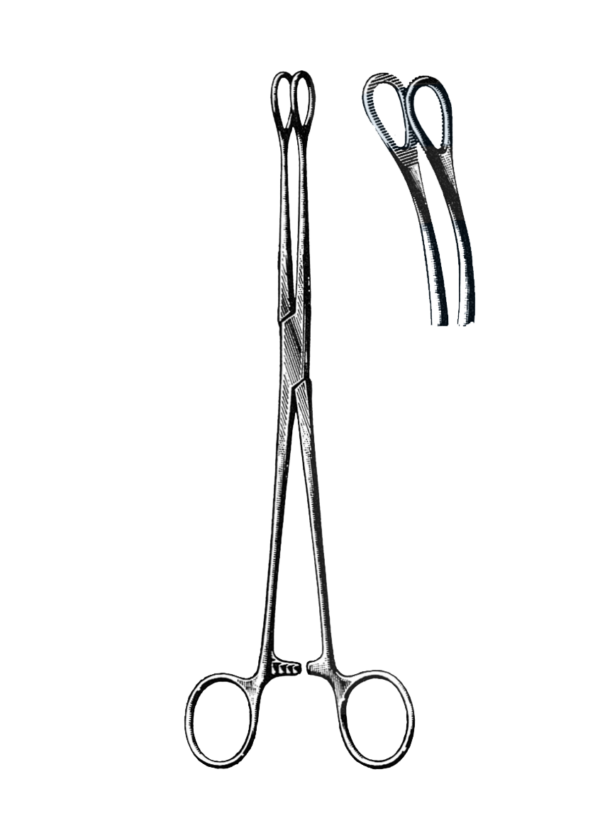 Foerster Sponge Forceps, Serrated, Curved 9 1/2" (24 cm)