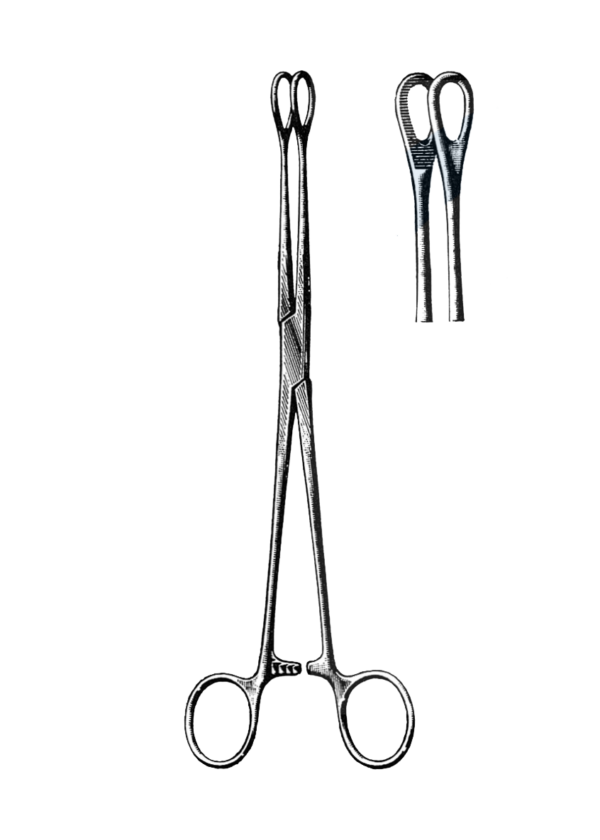 Foerster Sponge Forceps, Serrated, Straight 9 1/2" (24 cm)