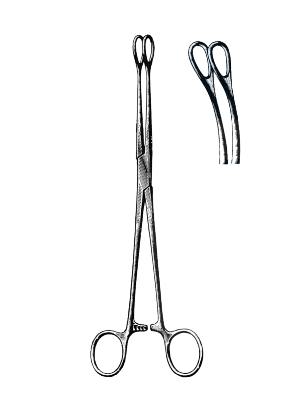 Foerster Sponge Forceps, Smooth, Curved 9 1/2" (24 cm)