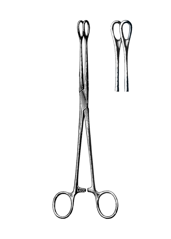 Foerster Sponge Forceps, Smooth, Straight 9 1/2" (24 cm)