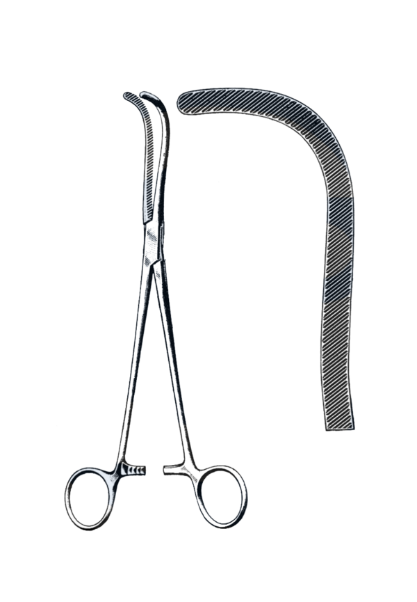 Guyon Kidney Clamp, Double Curve, 9 1/2" (24 cm)