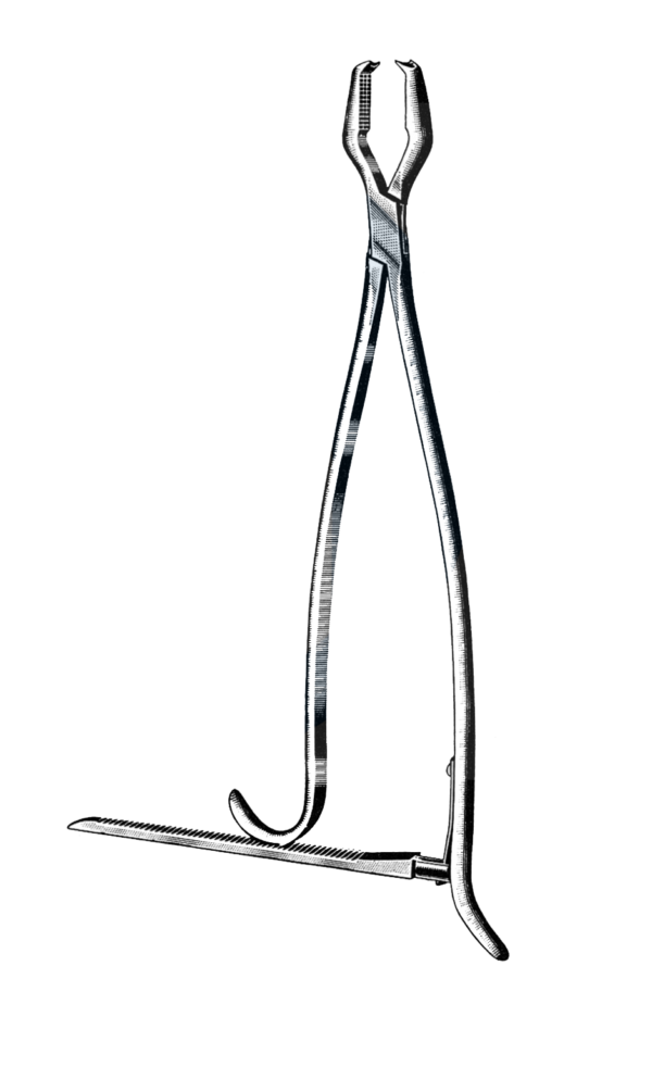 Lane Bone Holding Forceps, W/Ratchet, 13" (32.5 cm)