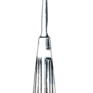 Lewis Rasp , Coourse 7 1/2" (19 cm)