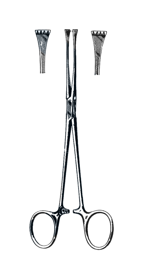 Lockwood Allis Tissue Forceps, 6 1/4" (16 cm)