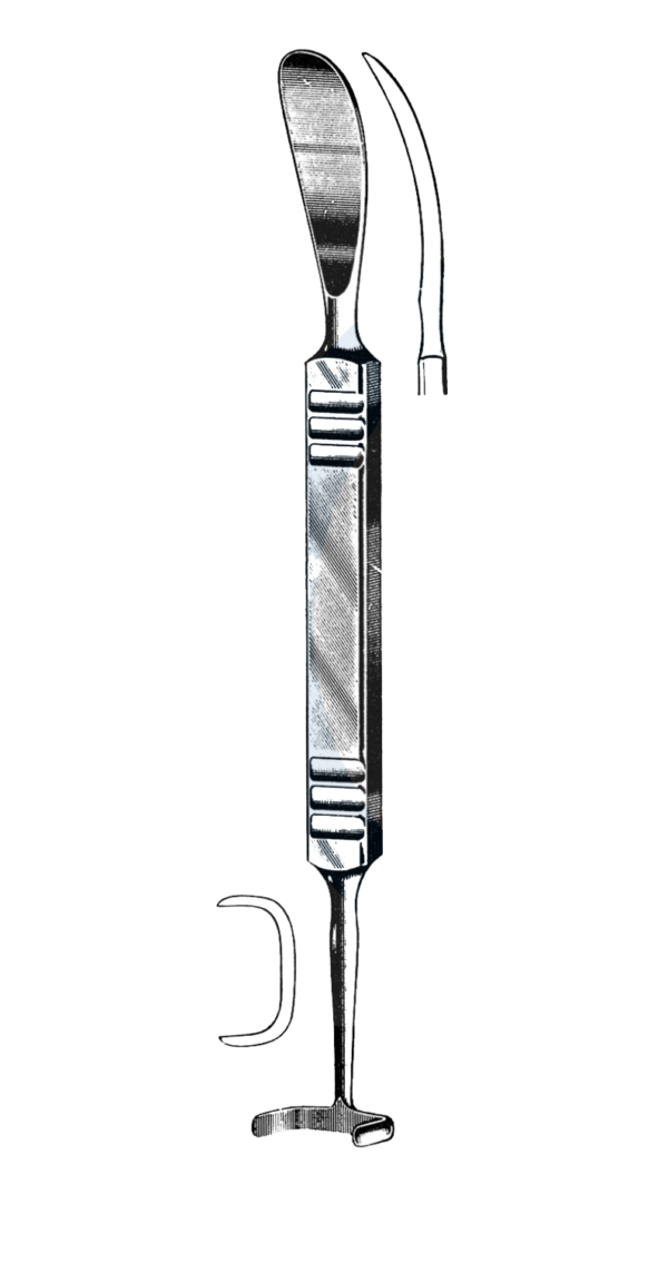 Matson Rib Stripper & Elevator 8 3/4" (22 cm)