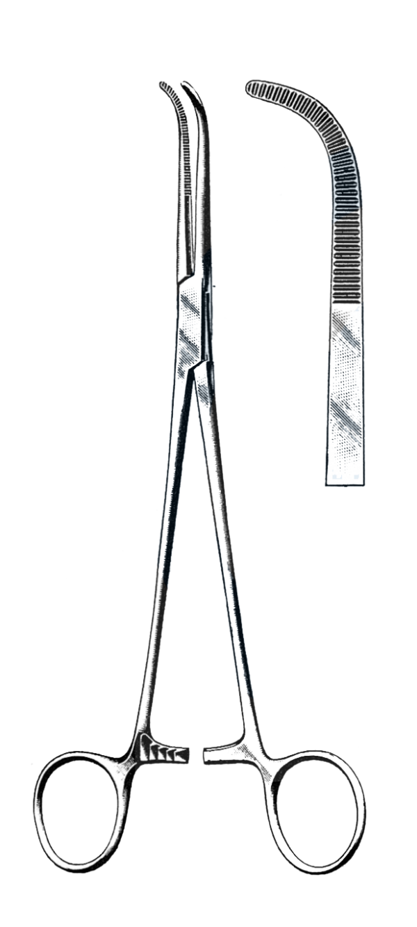 Mixter Forceps, Cross Serrated 5 1/2" (14 cm)