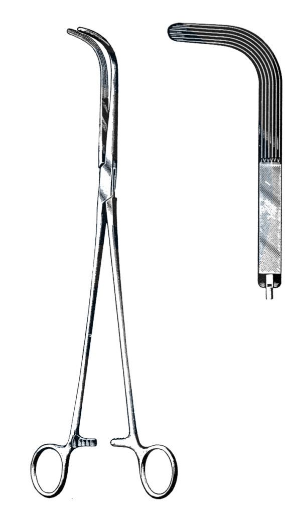 Mixter Forceps, Longit, Serr. 11 1/2" (29 cm)