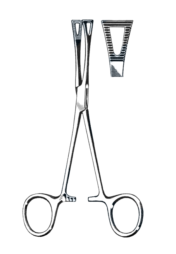 Pennington Forceps 5 3/4" (14.5 cm)