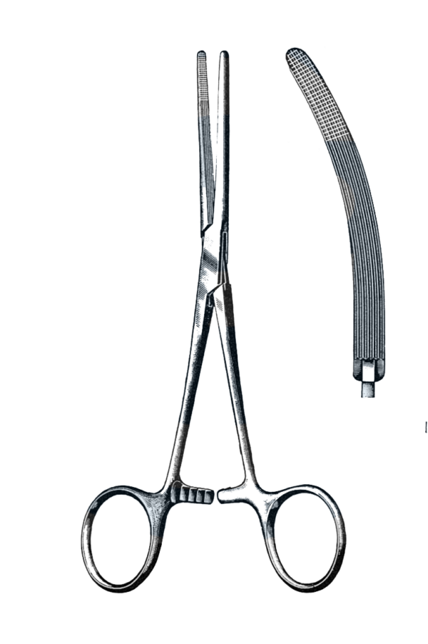 Rochester-Carmalt Forceps Curved 6 1/2" (16.5 cm)