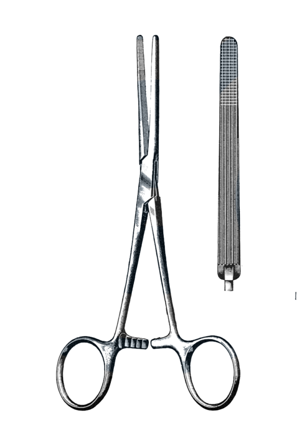 Rochester-Carmalt Forceps Straight 6 1/2" (16.5 cm)