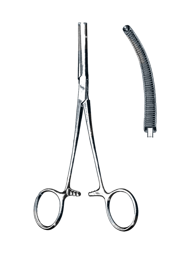 Rochester-Ochsner Forceps Curved 10" (25 cm)