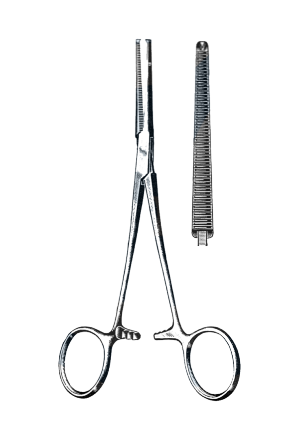 Rochester-Ochsner Forceps Straight 10" (25 cm)