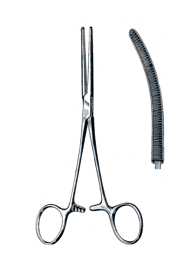 Rochester-Pean Forceps Curved 8" (20 cm)