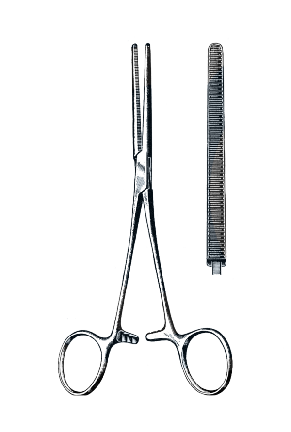 Rochester-Pean Forceps Straight 6 1/2" (16.5 cm)