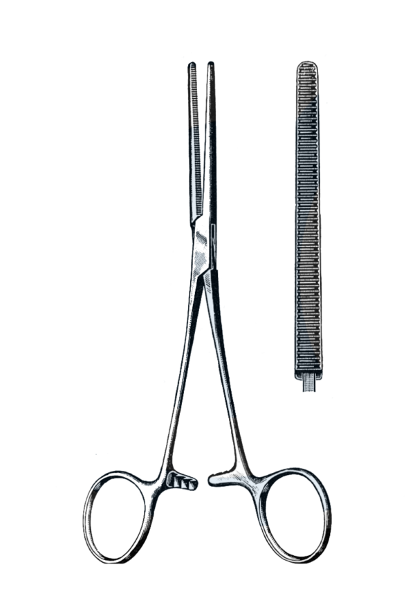 Rochester-Pean Forceps Straight 8" (20 cm)