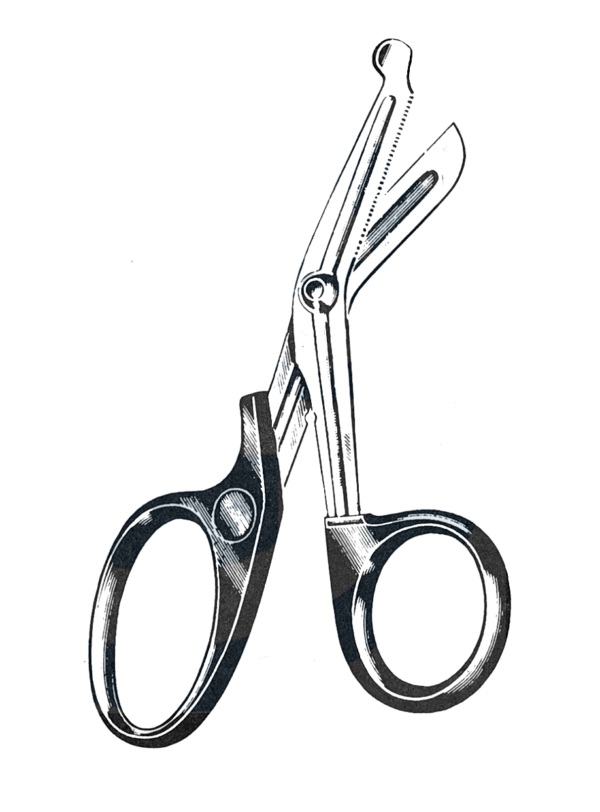 Utility Scissors, All Purpose 5 1/2" (16.5 cm)